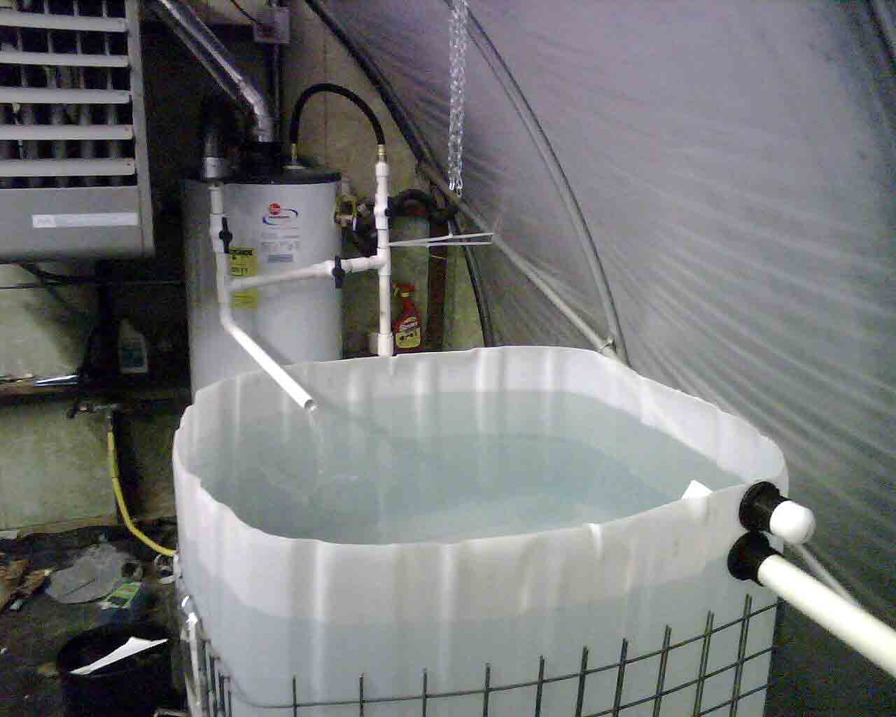 Fish Tank Aquaponics System